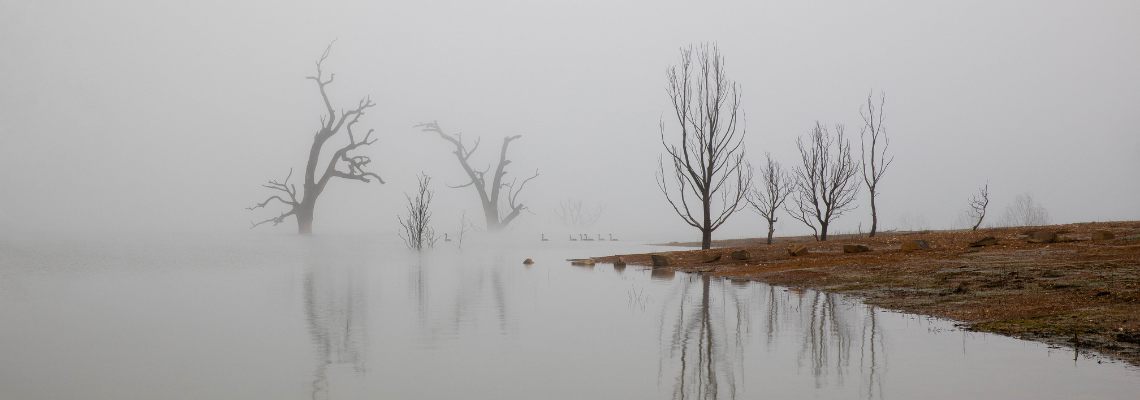 Expressions 4 - Bonnie Doon, Caroline Senior, Digital Photograph 2022 [Web banner] - 1140 x 400 (2).png